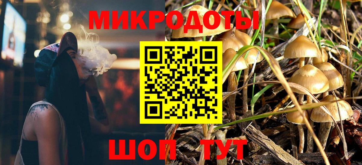 Нижний Тагил  Псилоцибиновые грибы мухоморы  Вход с VPN 